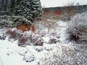 winterize garden