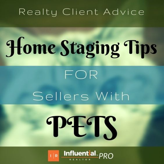 Home Staging for Sellers with Pets